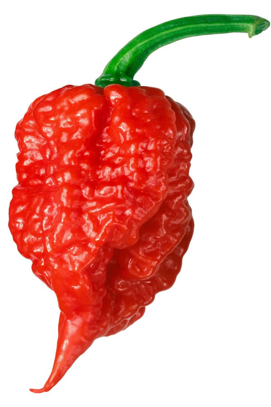 Fear The Carolina Reaper